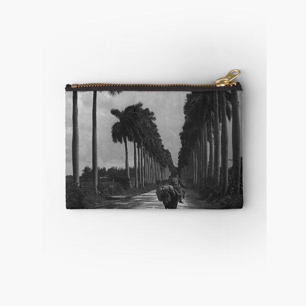 Item preview, 1903 Avenue of Palms, Havana, Cuba landscape vintage black and white photograph designed and sold by Astrid Arkhangelsky.