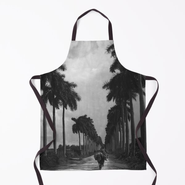Item preview, 1903 Avenue of Palms, Havana, Cuba landscape vintage black and white photograph designed and sold by Astrid Arkhangelsky.