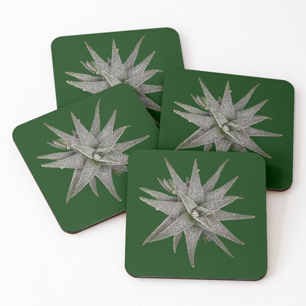 Item preview, Gasterhaworthia 'Hippo' Succulent Cutout - Starburst Plan designed and sold by BalkanBloomArt.