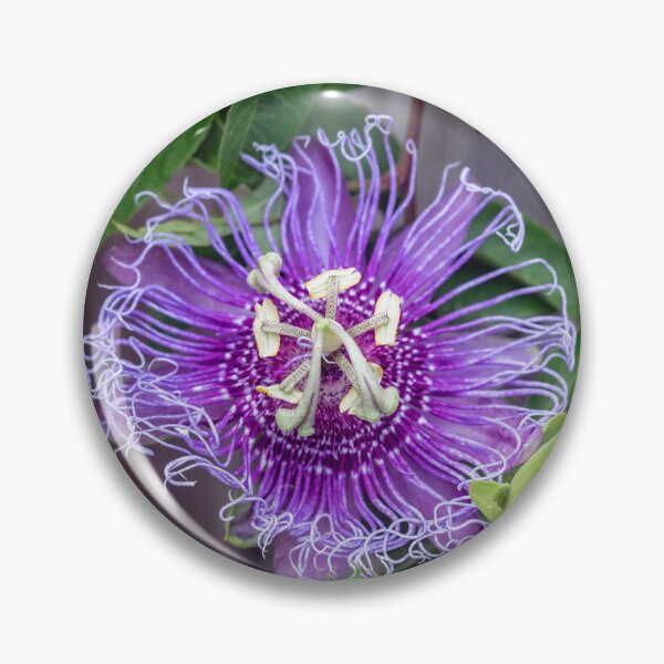 Item preview, A Passion for Flowers Passion Flower designed and sold by RichFrancoCars.
