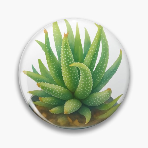 Item preview, Watercolor Succulent Haworthia Fasciata Sticker Art designed and sold by MaisyTorrence.