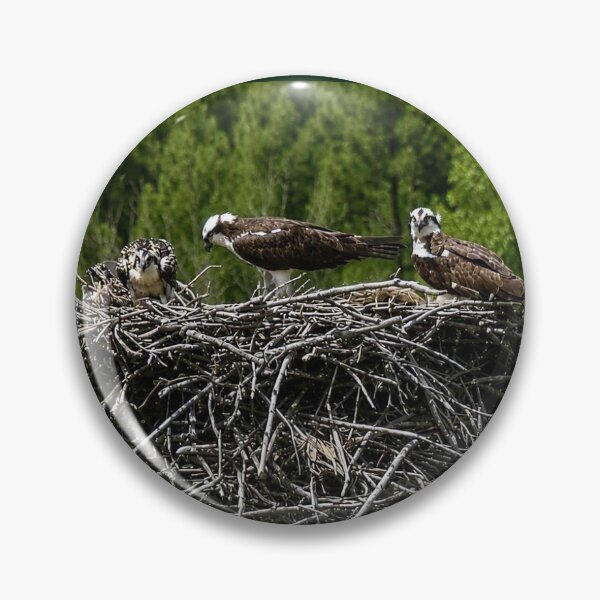 Item preview, Osprey Nest designed and sold by SquaresArt.