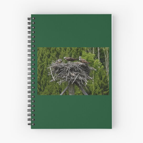 Item preview, Osprey Nest designed and sold by SquaresArt.