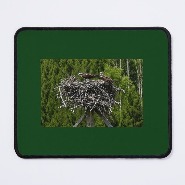 Item preview, Osprey Nest designed and sold by SquaresArt.