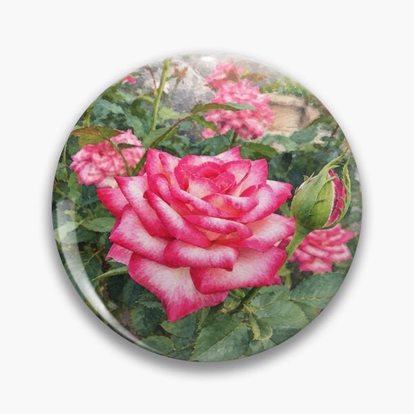 Item preview, Pink rose designed and sold by Carol-arts-.