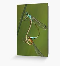 Hold Me Tight Greeting Card