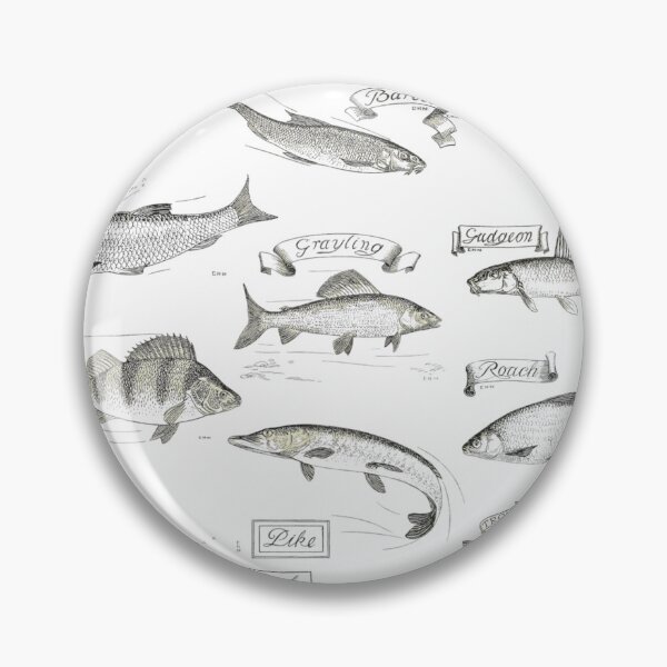 Item preview, The Compleat Angler (Izaak Walton) Fish Identification Chart designed and sold by Always-Angling.