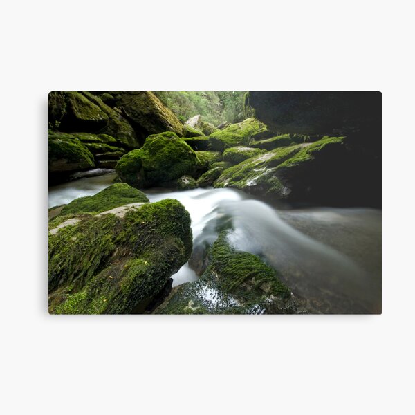 Cave Creek Green. Metal Print