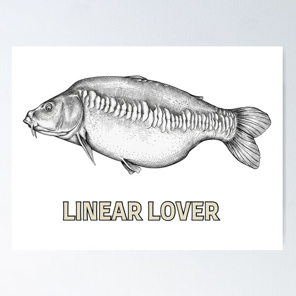 Item preview, "Linear Lover" Linear Mirror Carp - Specimen Carp designed and sold by Always-Angling.