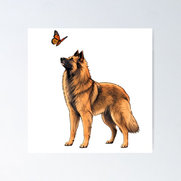 Item preview, Belgian Tervuren designed and sold by VelvetRoom.