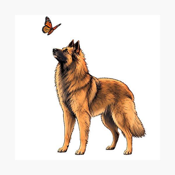 Item preview, Belgian Tervuren designed and sold by VelvetRoom.