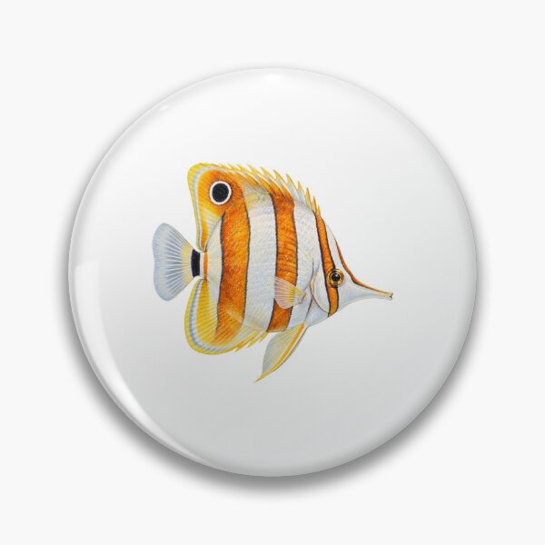 Item preview, Copperband Butterflyfish Watercolor Vintage Marine Illustration Reef Art  designed and sold by KenworksDigital.