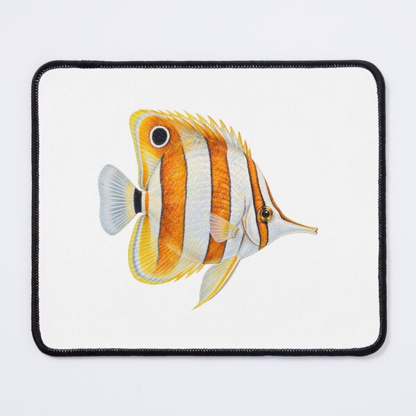 Item preview, Copperband Butterflyfish Watercolor Vintage Marine Illustration Reef Art  designed and sold by KenworksDigital.