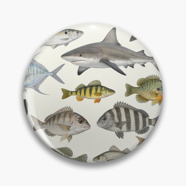 Item preview, Fishes of The Chesapeake Bay Retro Identification Chart designed and sold by kakarikihill.