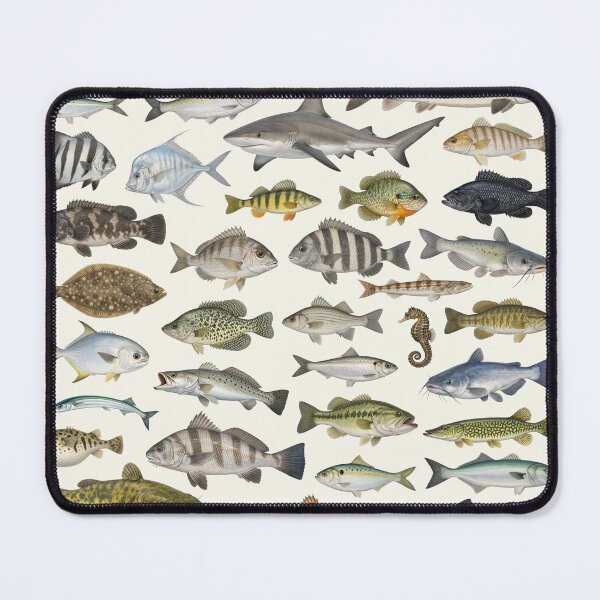 Item preview, Fishes of The Chesapeake Bay Retro Identification Chart designed and sold by kakarikihill.