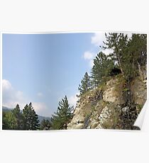 pine trees and rocks mountain landscape Poster
