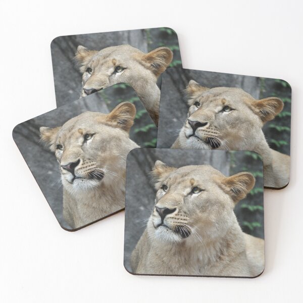Item preview, Majestic Lioness in Natural Habitat designed and sold by Savannah Gibbs.