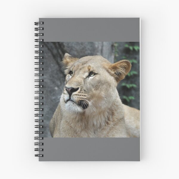 Item preview, Majestic Lioness in Natural Habitat designed and sold by Savannah Gibbs.