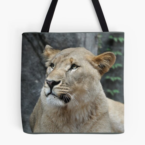 Item preview, Majestic Lioness in Natural Habitat designed and sold by Savannah Gibbs.