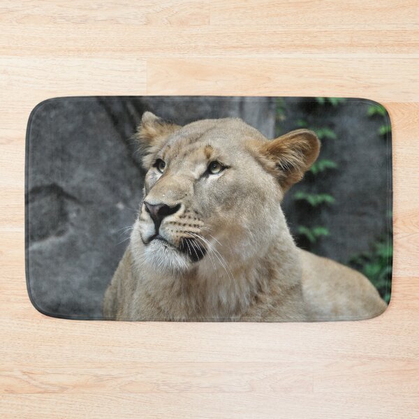 Item preview, Majestic Lioness in Natural Habitat designed and sold by Savannah Gibbs.