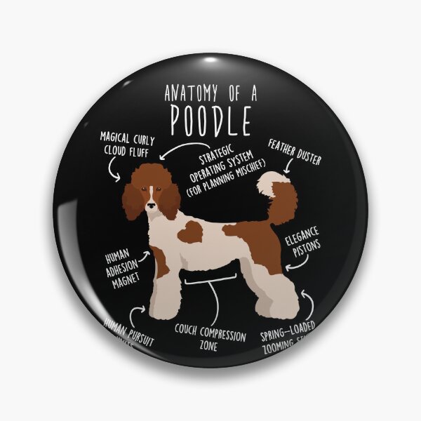 Item preview, Parti Standard Poodle Dog Anatomy designed and sold by Clara Hollins.