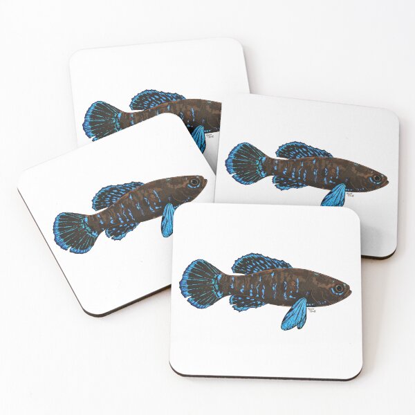 Item preview, Everglades Pygmy Sunfish designed and sold by Scrub and Sea.