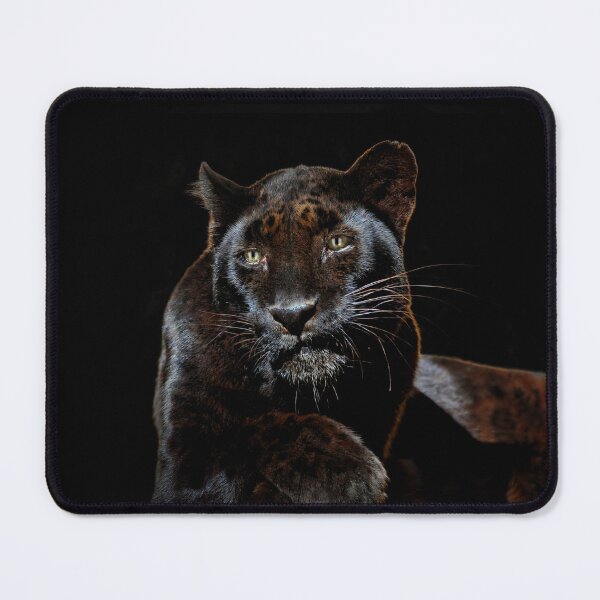 Item preview, Majestic Black Panther Resting designed and sold by Savannah Gibbs.