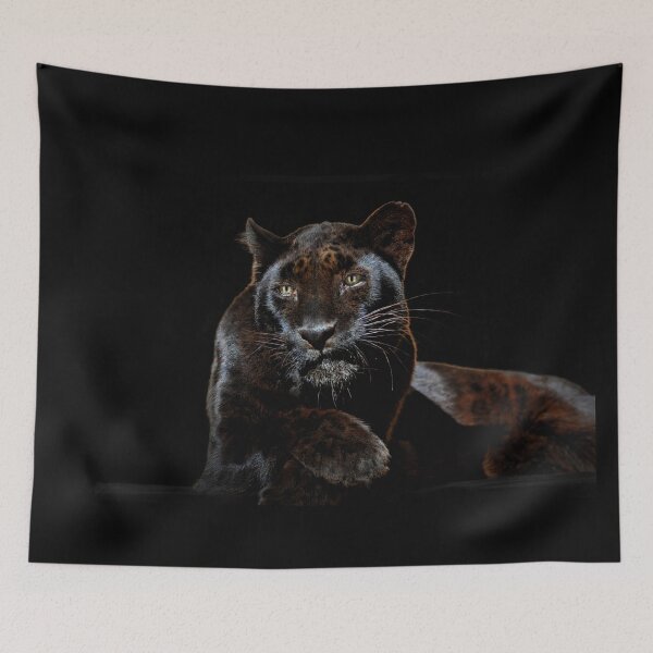 Item preview, Majestic Black Panther Resting designed and sold by Savannah Gibbs.