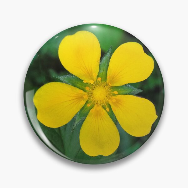 Item preview, Bright and Beautiful  designed and sold by heatherfriedman.