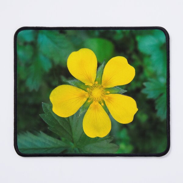 Item preview, Bright and Beautiful  designed and sold by heatherfriedman.