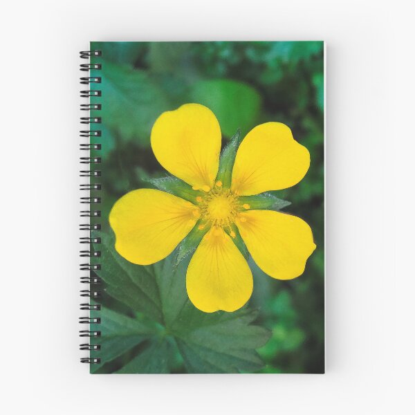 Item preview, Bright and Beautiful  designed and sold by heatherfriedman.
