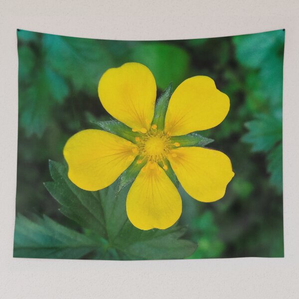 Item preview, Bright and Beautiful  designed and sold by heatherfriedman.