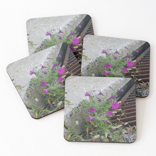 Item preview, Storm Drain Petunias designed and sold by concretebotany.