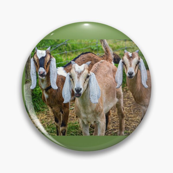 Item preview, Three Goats in a Field designed and sold by Savannah Gibbs.