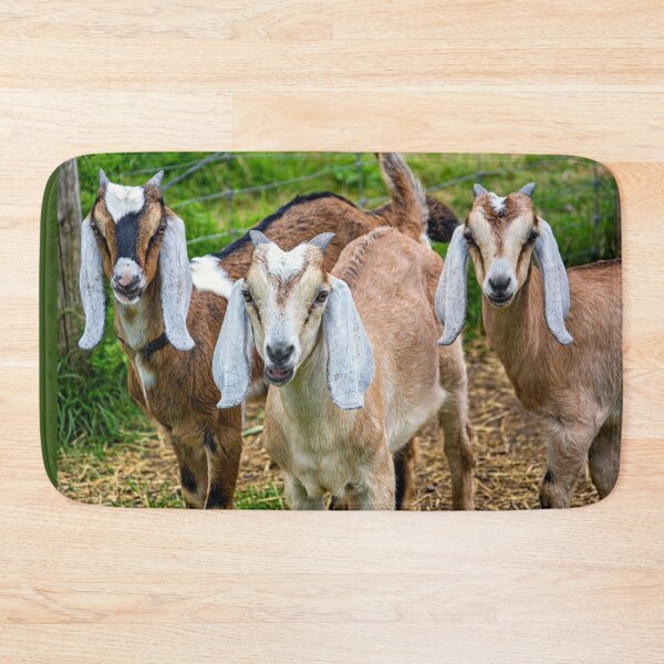 Item preview, Three Goats in a Field designed and sold by Savannah Gibbs.