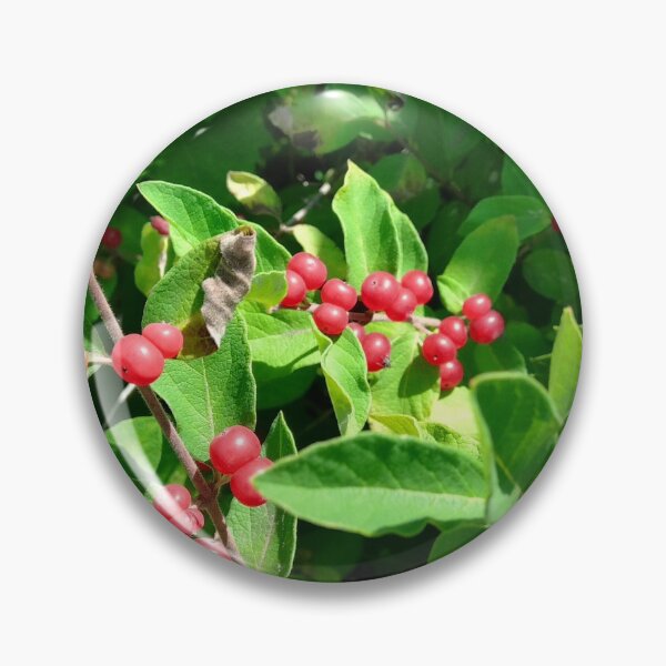 Item preview, RED BUSH BERRIES designed and sold by Digital2dreams.