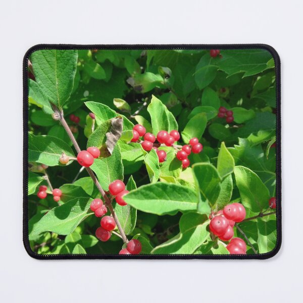 Item preview, RED BUSH BERRIES designed and sold by Digital2dreams.