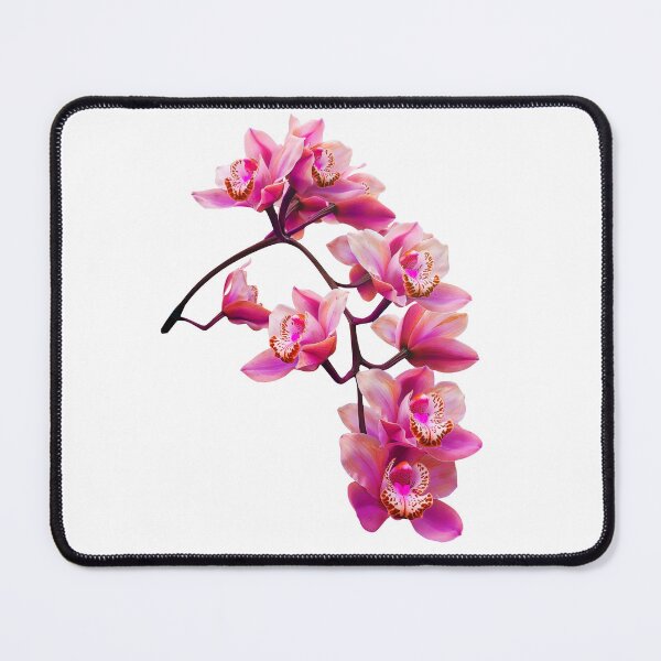 Item preview, Exquisite Elegant Pink Cymbidium Orchid Cascade Shapes Mania designed and sold by Shapes-Mania.