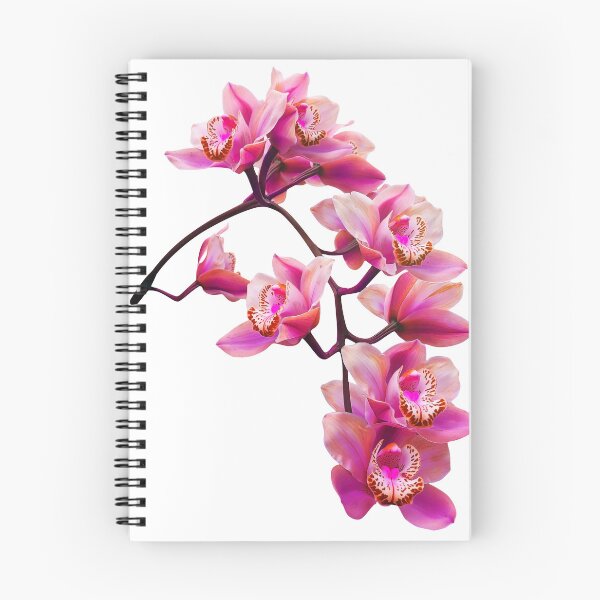 Item preview, Exquisite Elegant Pink Cymbidium Orchid Cascade Shapes Mania designed and sold by Shapes-Mania.