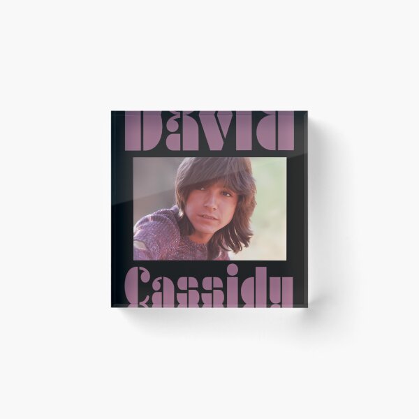 Item preview, David Cassidy designed and sold by Happy Imagination.