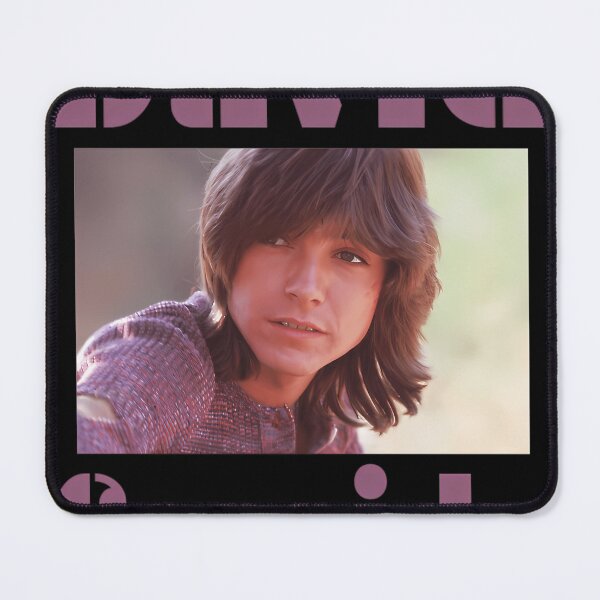 Item preview, David Cassidy designed and sold by Happy Imagination.