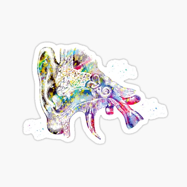 Human ear Sticker