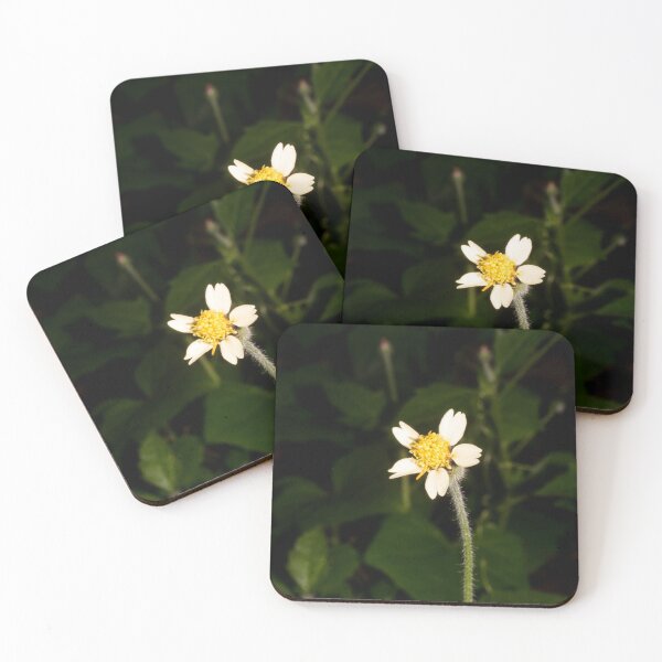 Item preview, coatbuttons designed and sold by ROSE ANN BANILAR.