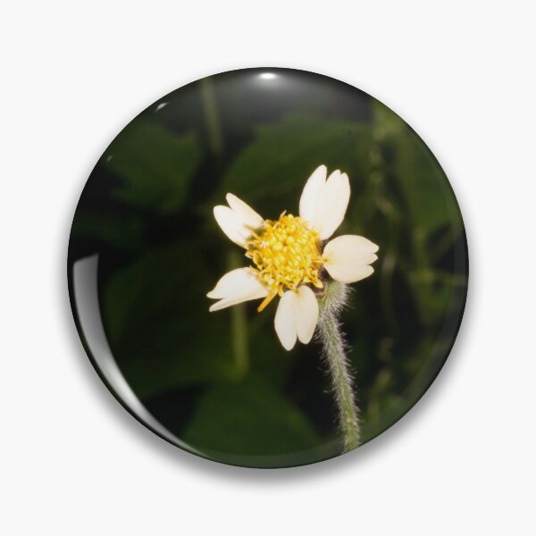 Item preview, coatbuttons designed and sold by ROSE ANN BANILAR.
