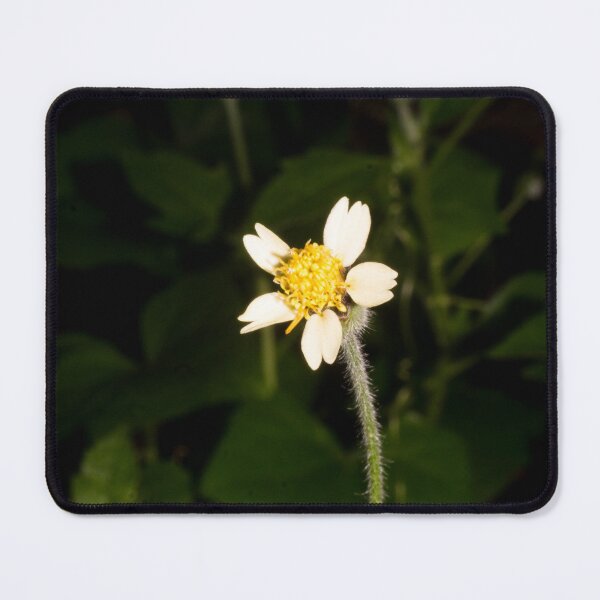 Item preview, coatbuttons designed and sold by ROSE ANN BANILAR.