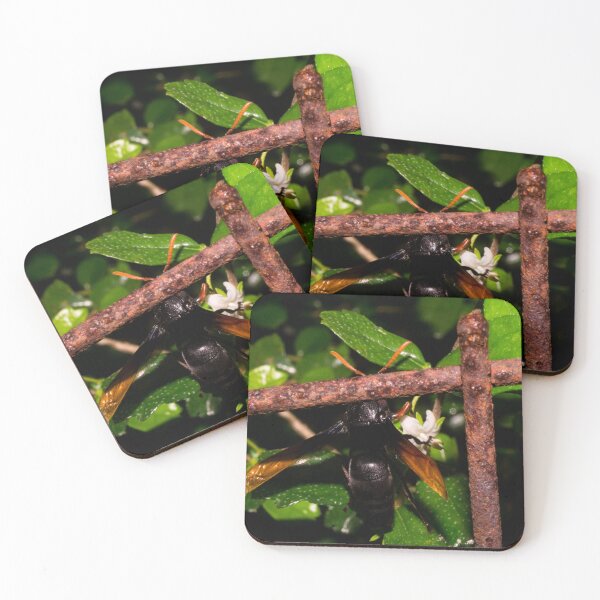 Item preview, Spider Wasp Behind Bars designed and sold by ROSE ANN BANILAR.