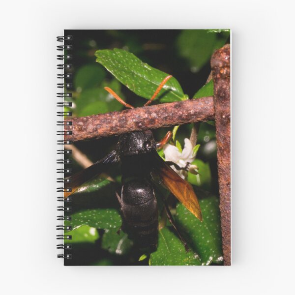 Item preview, Spider Wasp Behind Bars designed and sold by ROSE ANN BANILAR.