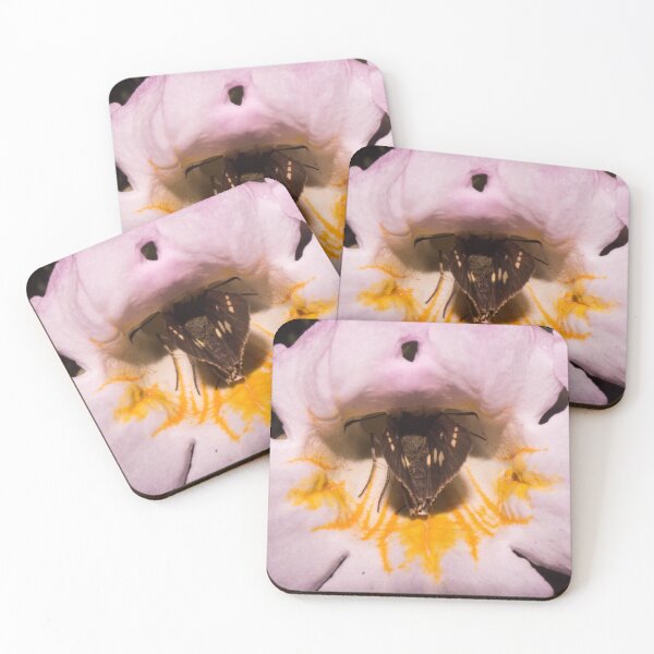 Item preview, Skipper Butterfly inside a Flower designed and sold by ROSE ANN BANILAR.