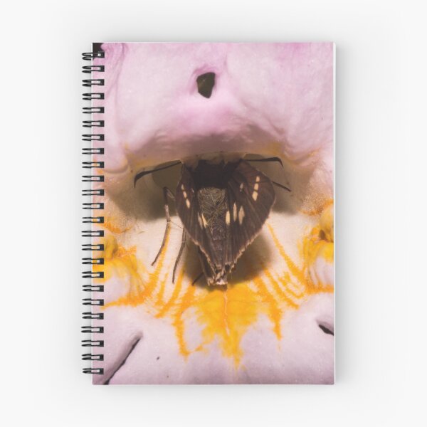 Item preview, Skipper Butterfly inside a Flower designed and sold by ROSE ANN BANILAR.