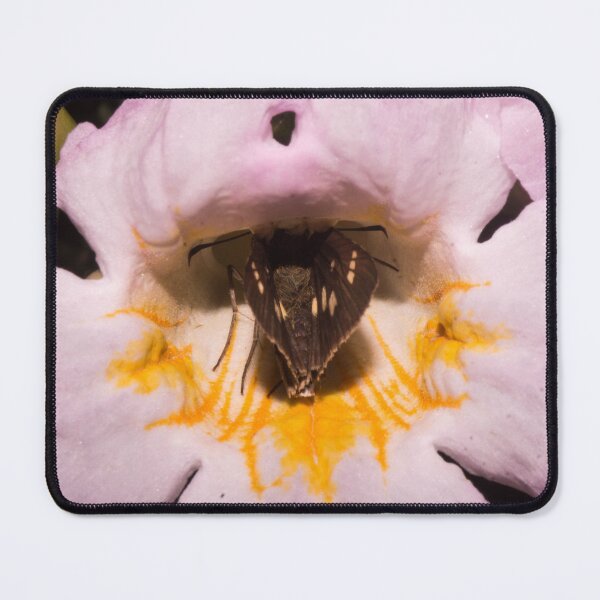 Item preview, Skipper Butterfly inside a Flower designed and sold by ROSE ANN BANILAR.
